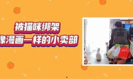 小卖部漫画,日常生活中的温馨与幽默