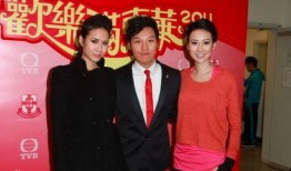 太子爷吃瓜娱乐圈,娱乐圈风云再起